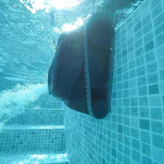 Dolphin LIBERTY 300 mit PVC Bürsten und Ladegerät - Pool Me Up