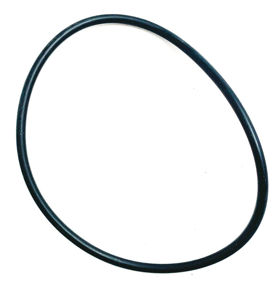 Intelliflo O-Ring Umkehrleitrad Pos. 11 - Pool Me Up