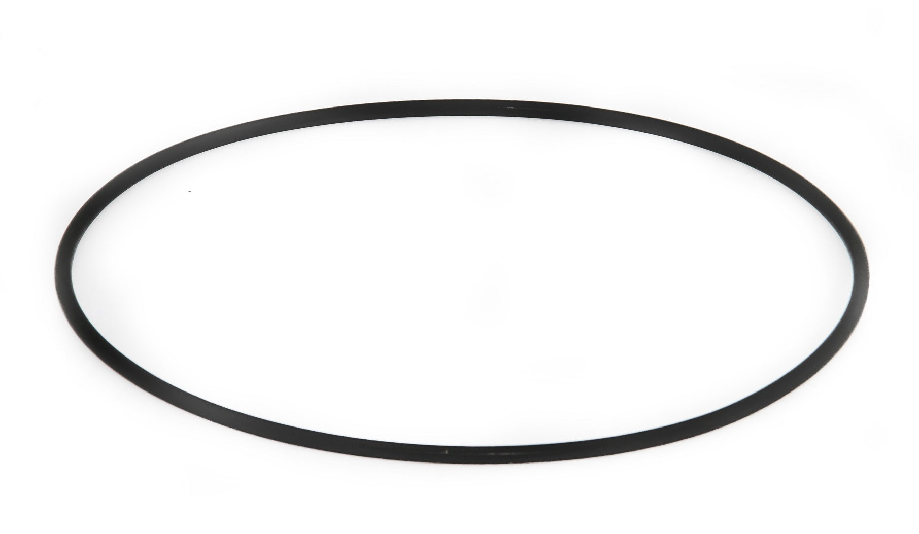 Speck O-Ring für Gehäuse zu Badu Resort 60 - 110 - Pool Me Up