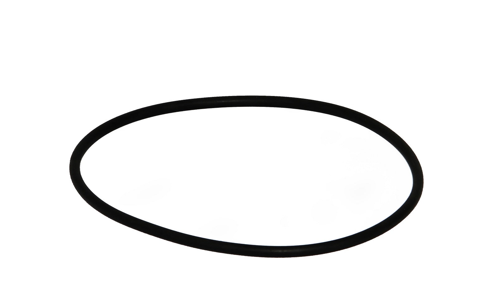 Speck O-Ring zu Gehäuse 165x6mm zu Badu Magic - Pool Me Up