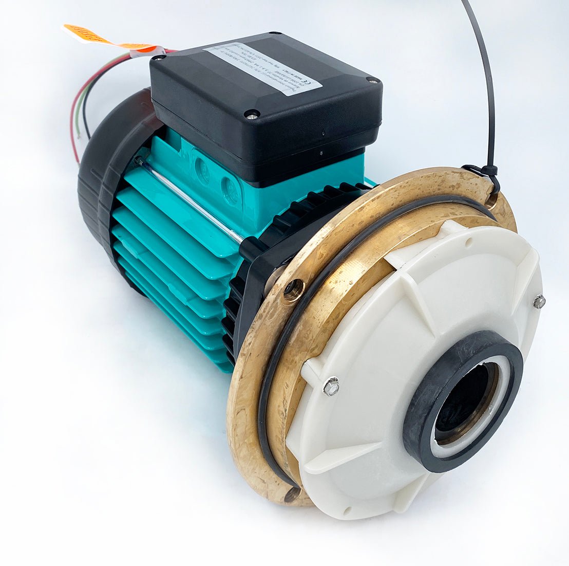 Sta - Rite Austauschsatz BRE - 3 (Motor bis Vorfilt.) - 031117 - 7630046618384 - Pool Me Up