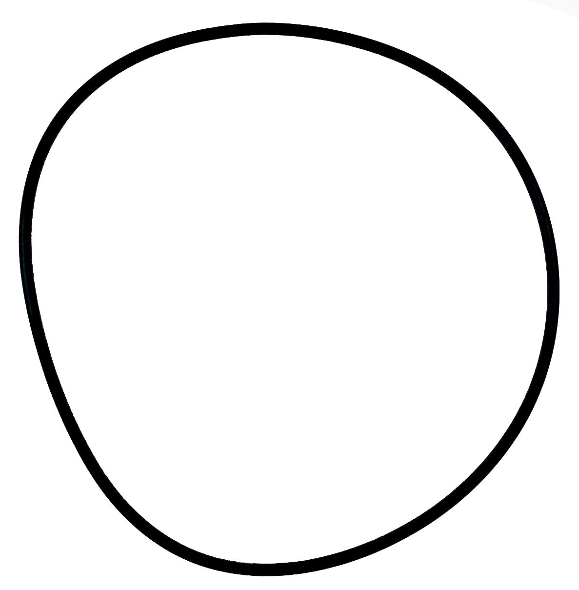 UWE O-Ring d 192innen x 4,5 für Pumpe - Pool Me Up