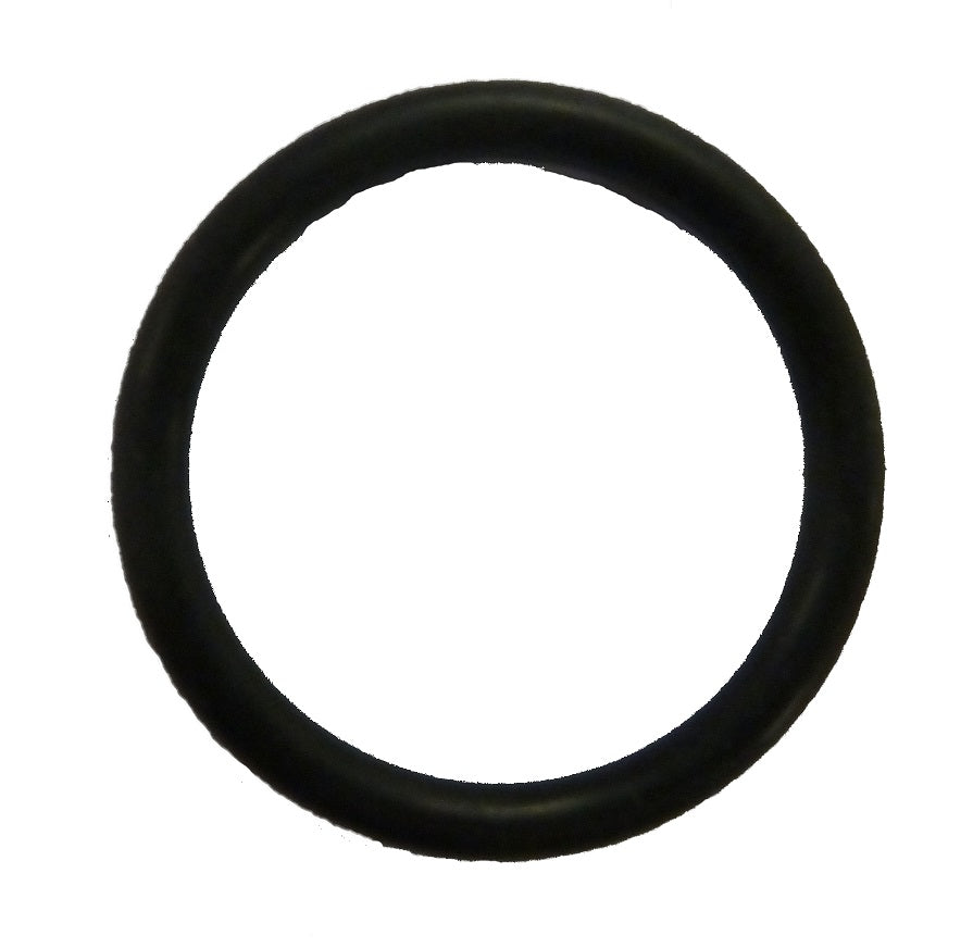 Zodiac O-Ring 20,3 x 2,6 mm - Pool Me Up